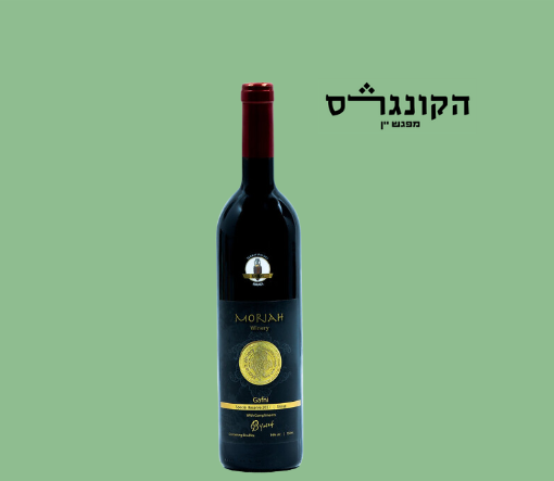 Gafni - שיראז 2022