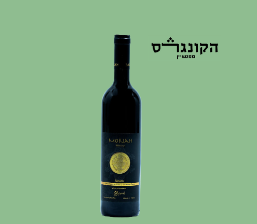 Noam - קברנה פראנק 2021